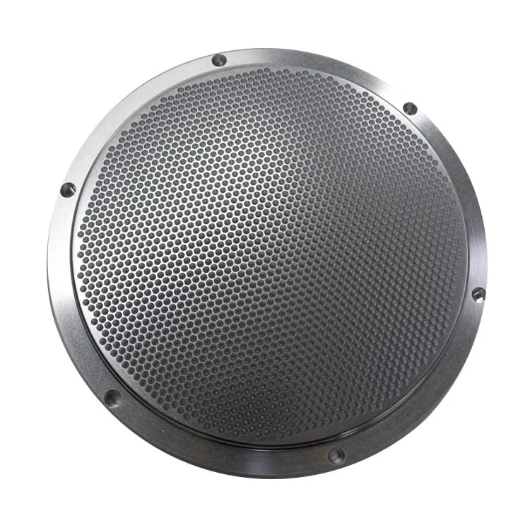 0020-30797 Lochblech-Duschkopf 2. Quelle Neu